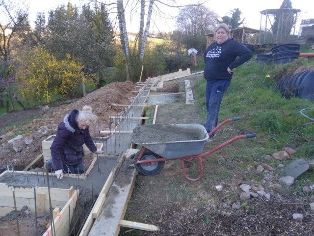 Bild von