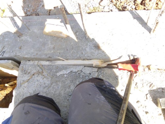 Bild von