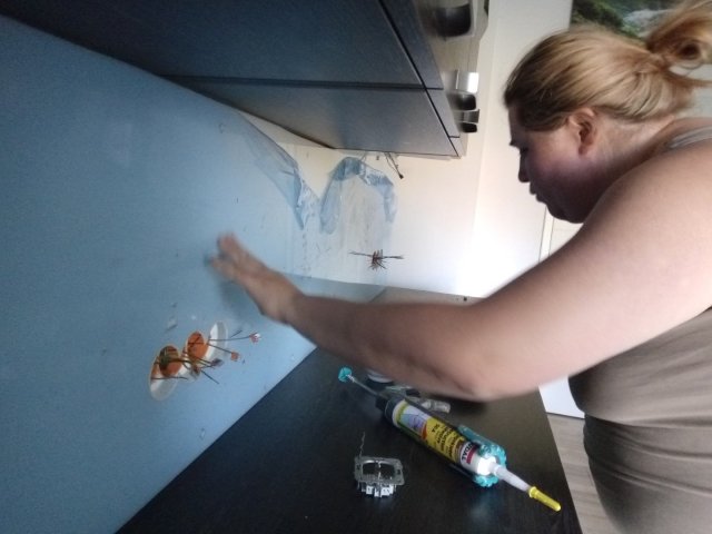 Bild von