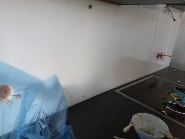 Bild von