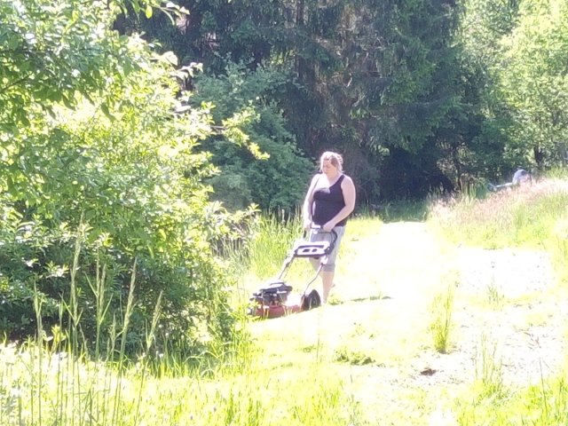 Bild von