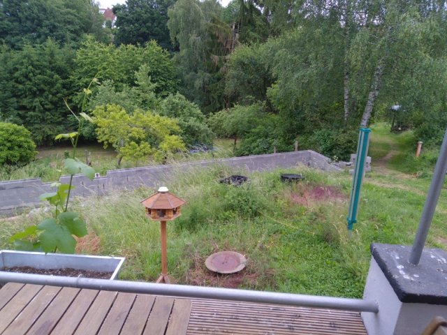 Bild von