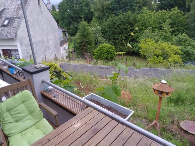 Bild von