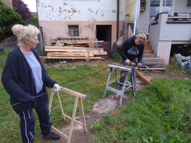 Bild von
