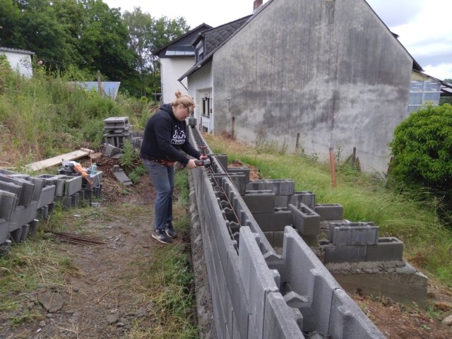 Bild von