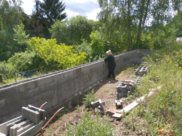 Bild von