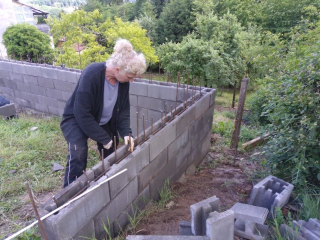 Bild von