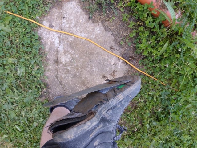 Bild von