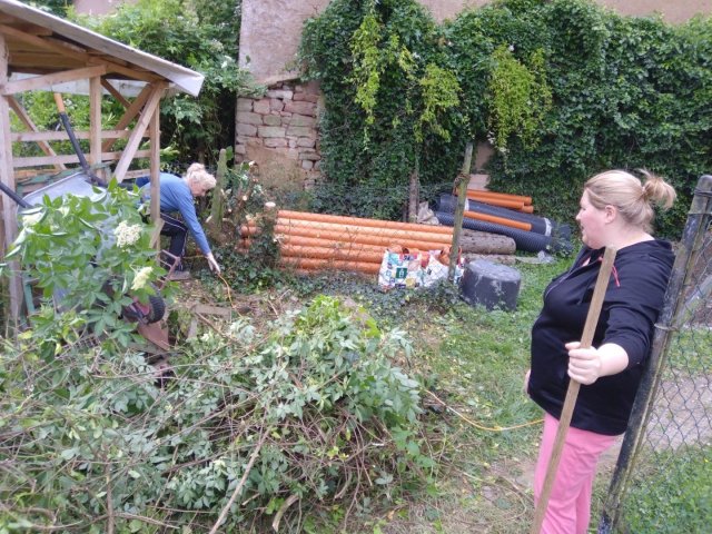 Bild von