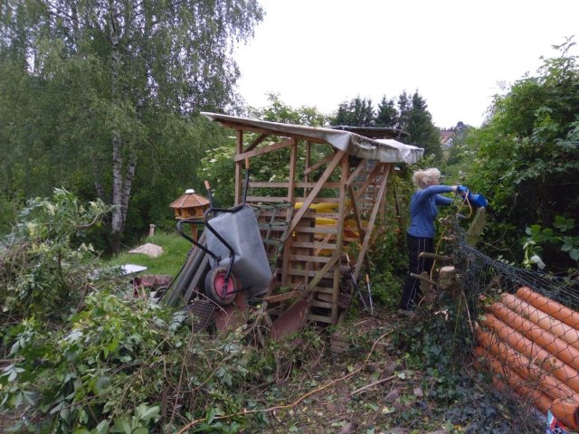 Bild von