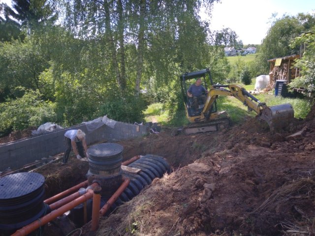Bild von