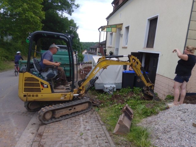 Bild von