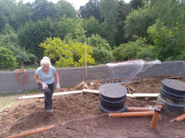 Bild von