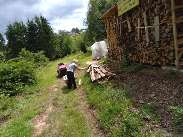 Bild von