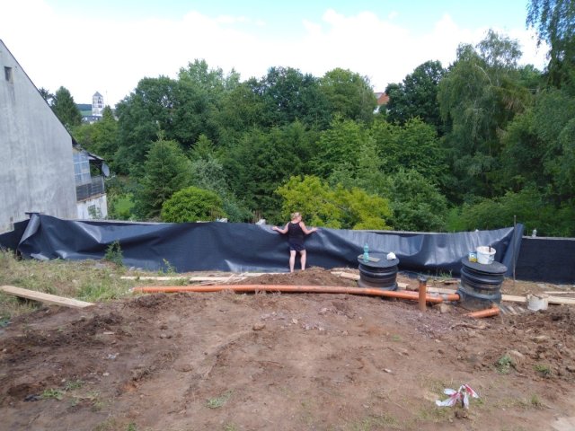 Bild von