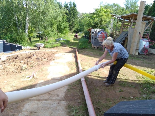 Bild von