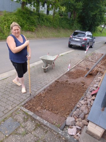 Bild von