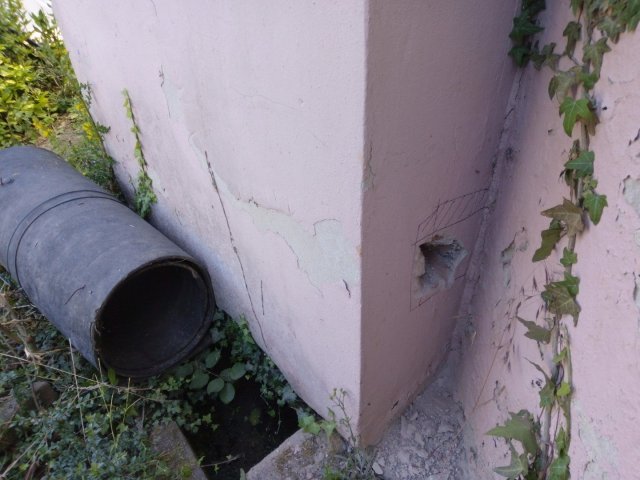 Bild von