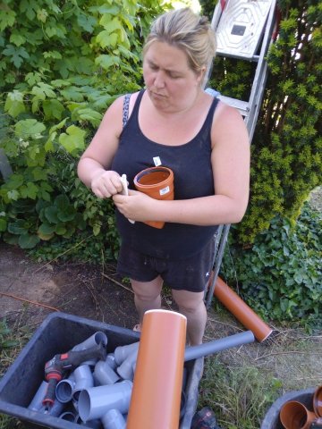 Bild von