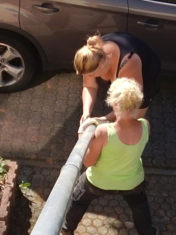 Bild von