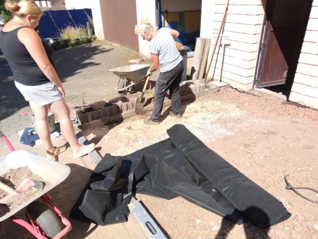 Bild von