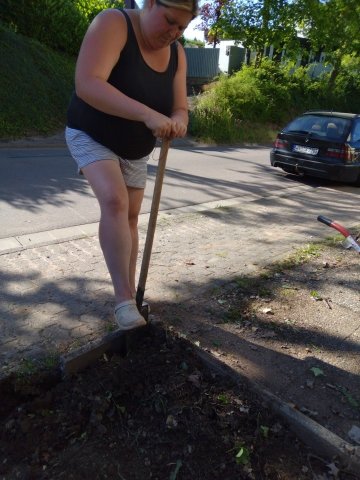 Bild von