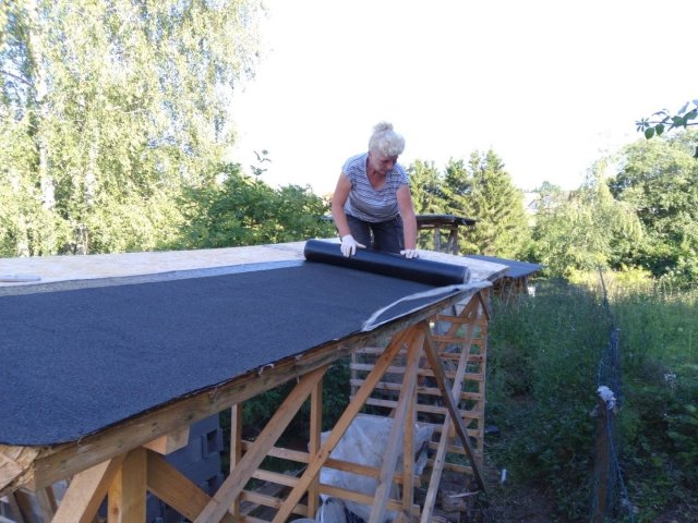 Bild von