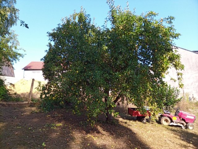 Bild von