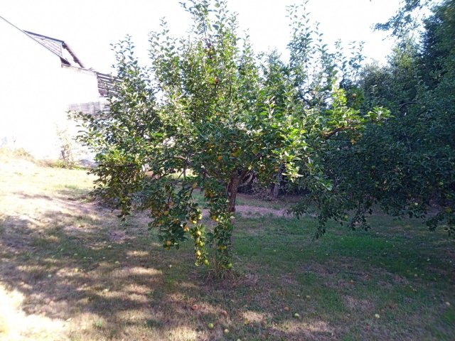 Bild von