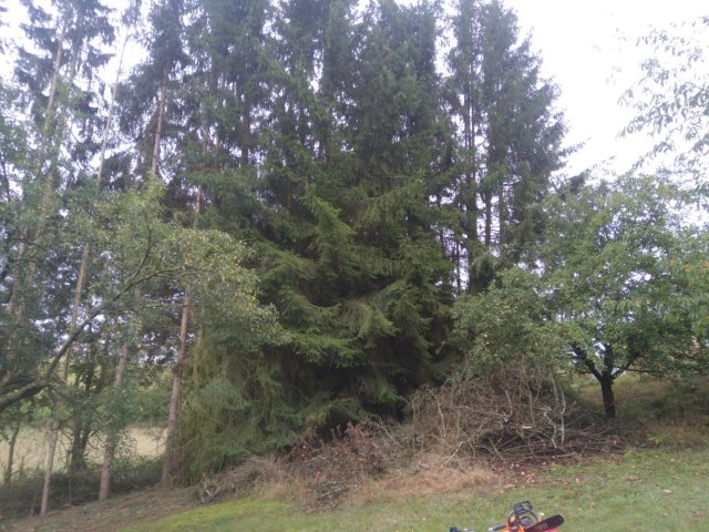 Bild von