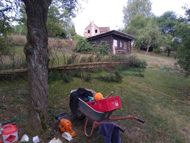 Bild von