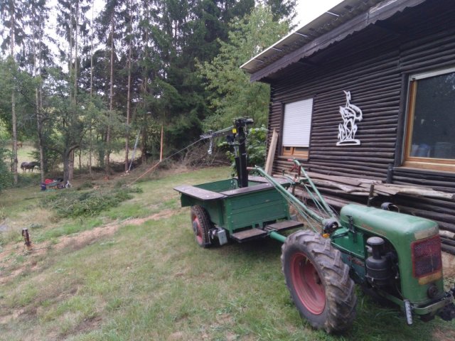 Bild von