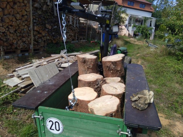 Bild von