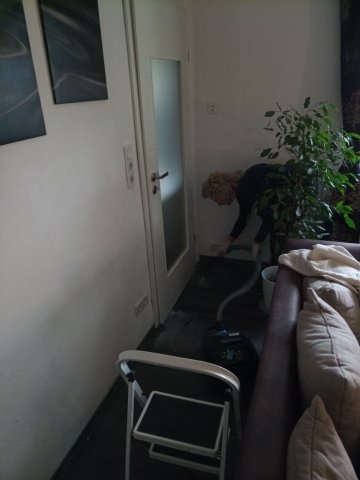 Bild von