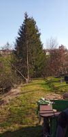Bild von
