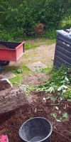 Bild von