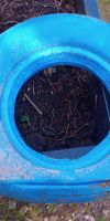 Bild von PU Vollgummi Schubkarre Rad blau gelb schwarz rot Sackkarre