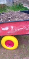 Bild von PU Vollgummi Schubkarre Rad blau gelb schwarz rot Sackkarre