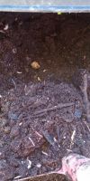 Bild von
