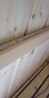 Bild von