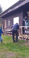 Bild von