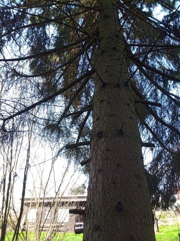 Bild von