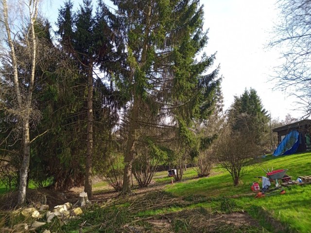 Bild von