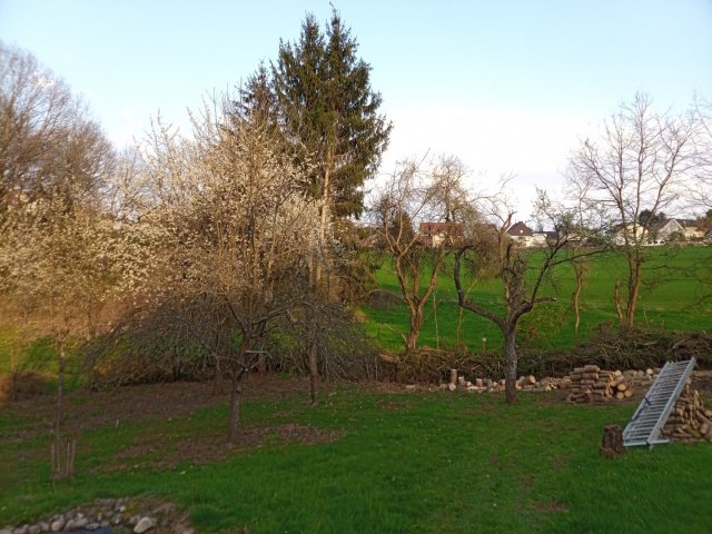 Bild von