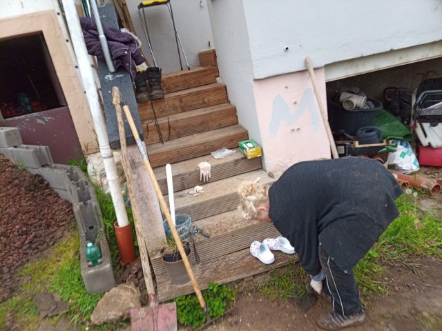 Bild von