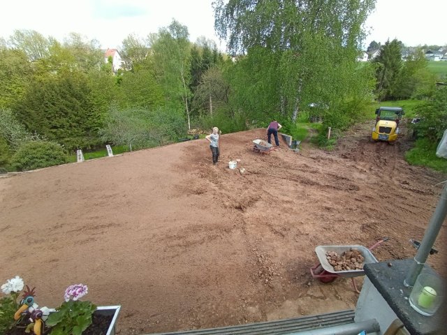 Bild von