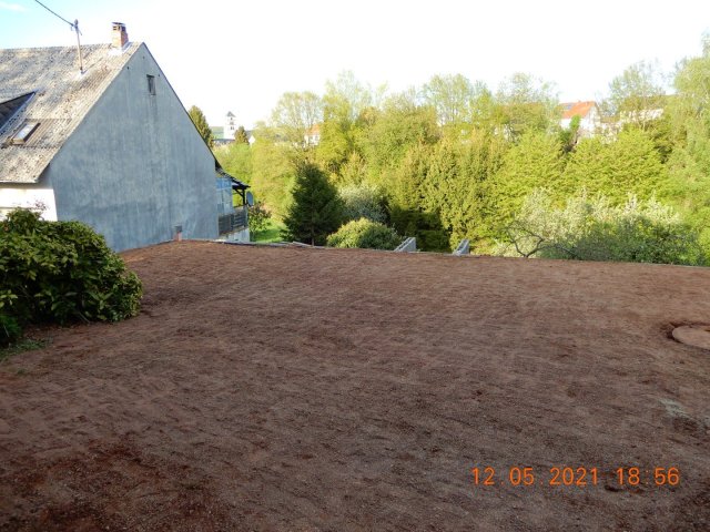 Bild von