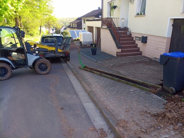 Bild von