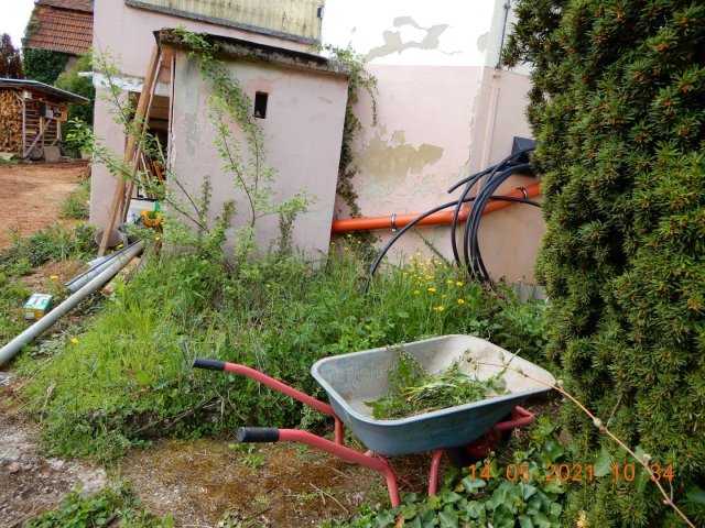 Bild von