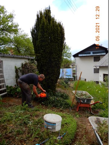 Bild von